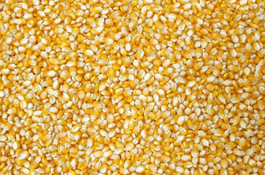 Bulk Corn